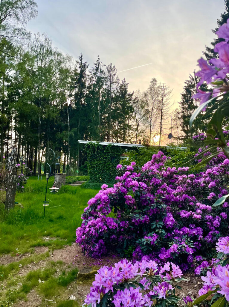 vakantiehuis vakantievilla De Nachtzwaluw - vakantie in de natuur Kempen