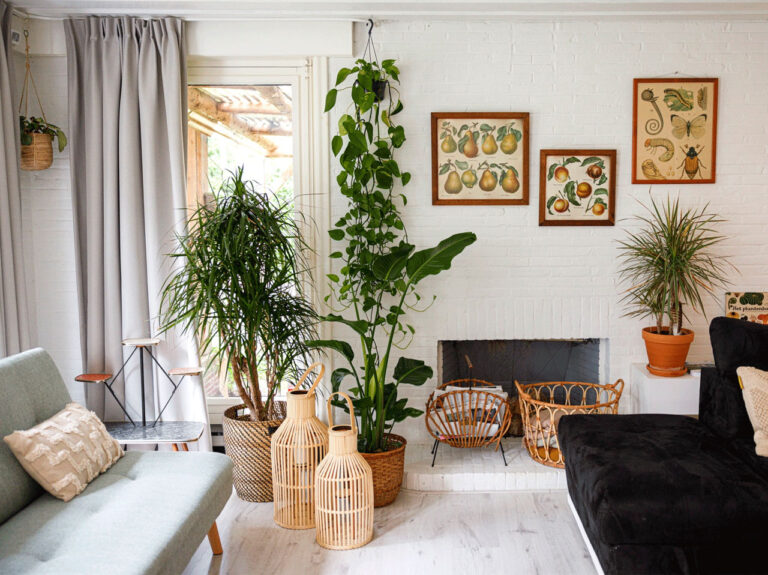 vakantiehuis vakantievilla De Nachtzwaluw - vakantie in de natuur Kempen