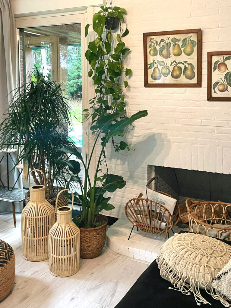 vakantiehuis vakantievilla De Nachtzwaluw - vakantie in de natuur Kempen
