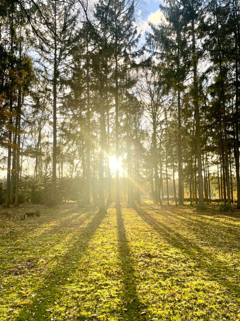 vakantiehuis vakantievilla De Nachtzwaluw - vakantie in de natuur Kempen